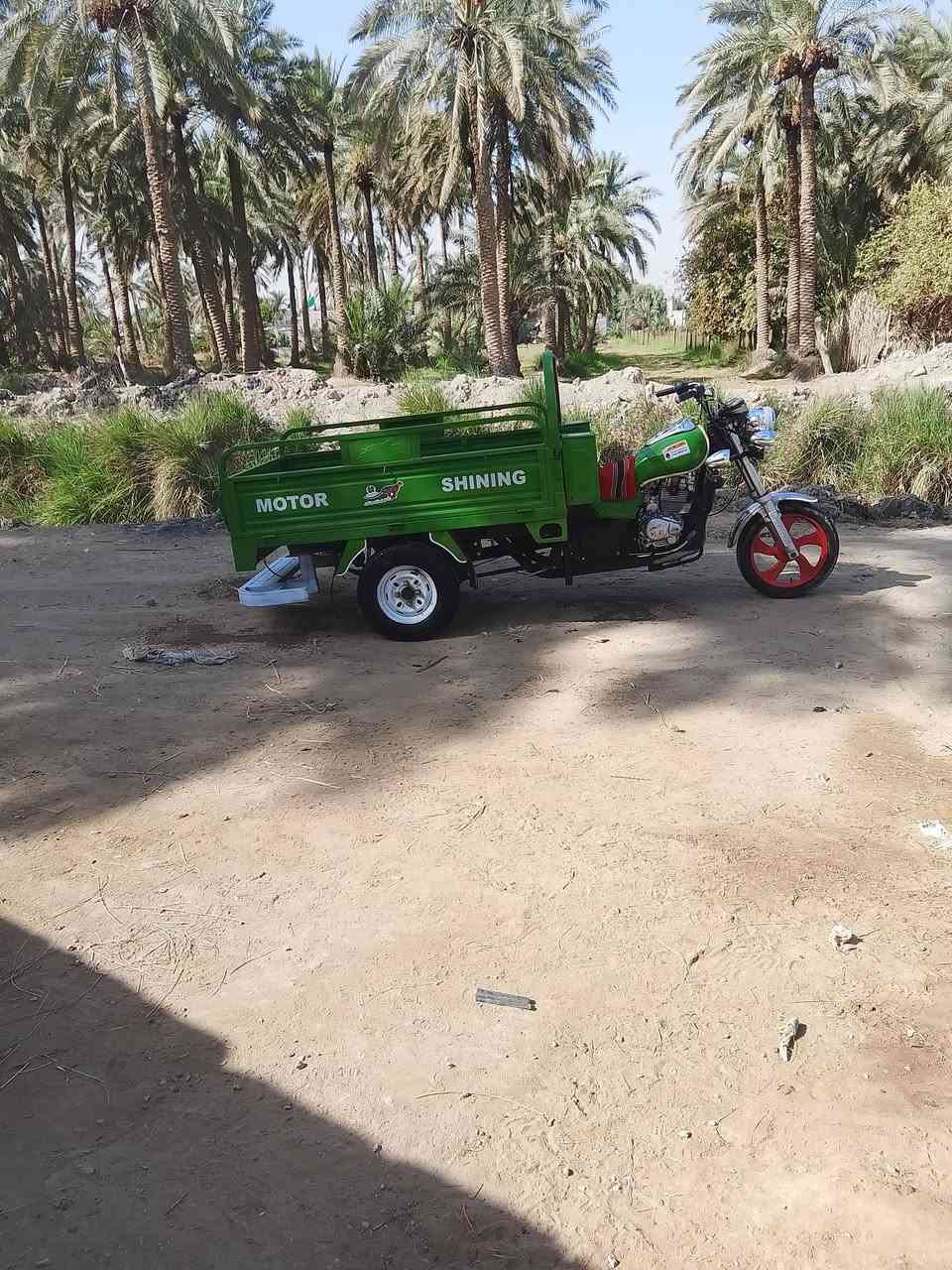 سلام عليكم ستوته البيع جمره فحل موديل 21 طالعه 22 مكفول كفاله عامه رقم وسنويه نجف وسنويه 29 مكاني نجف أبو صخير حيره شراي يتصل ويدلل *********** سعر 2100 بيه مجال الشراي
