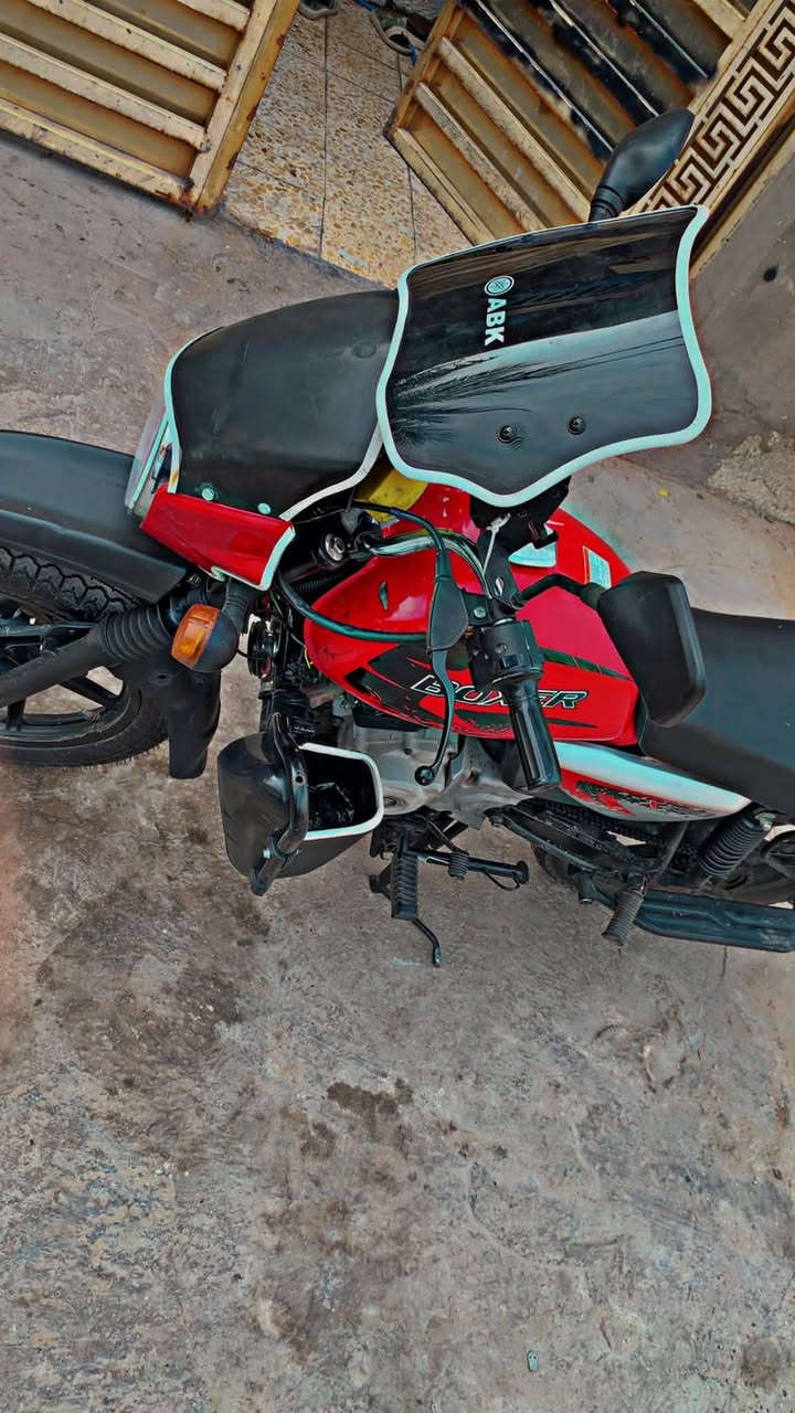 بوكسر • ٢٠٢٣ • جبلي
