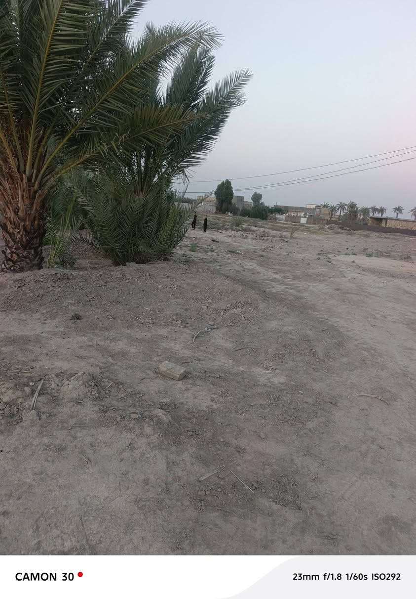 السلام عليكم ارض طابو زراعي سند/25/المساحه. 2000
‏الموقع خلف جامعه بابل / يبعد عن الجامعه
‏للاستفسار 
‏منتظر الصليخي ***********
‏                        ***********
‏                       
‏
