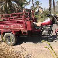ستوته للبيع اوراق كامله مثل مابصوره قفل850 07875865724 07519540824