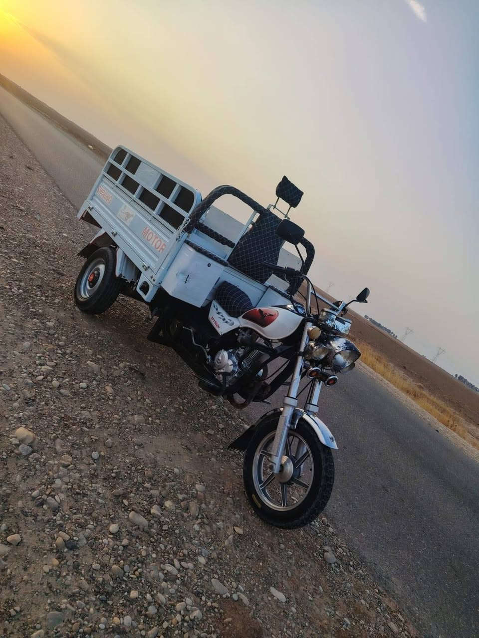 ستوته • فحل • مديل 24