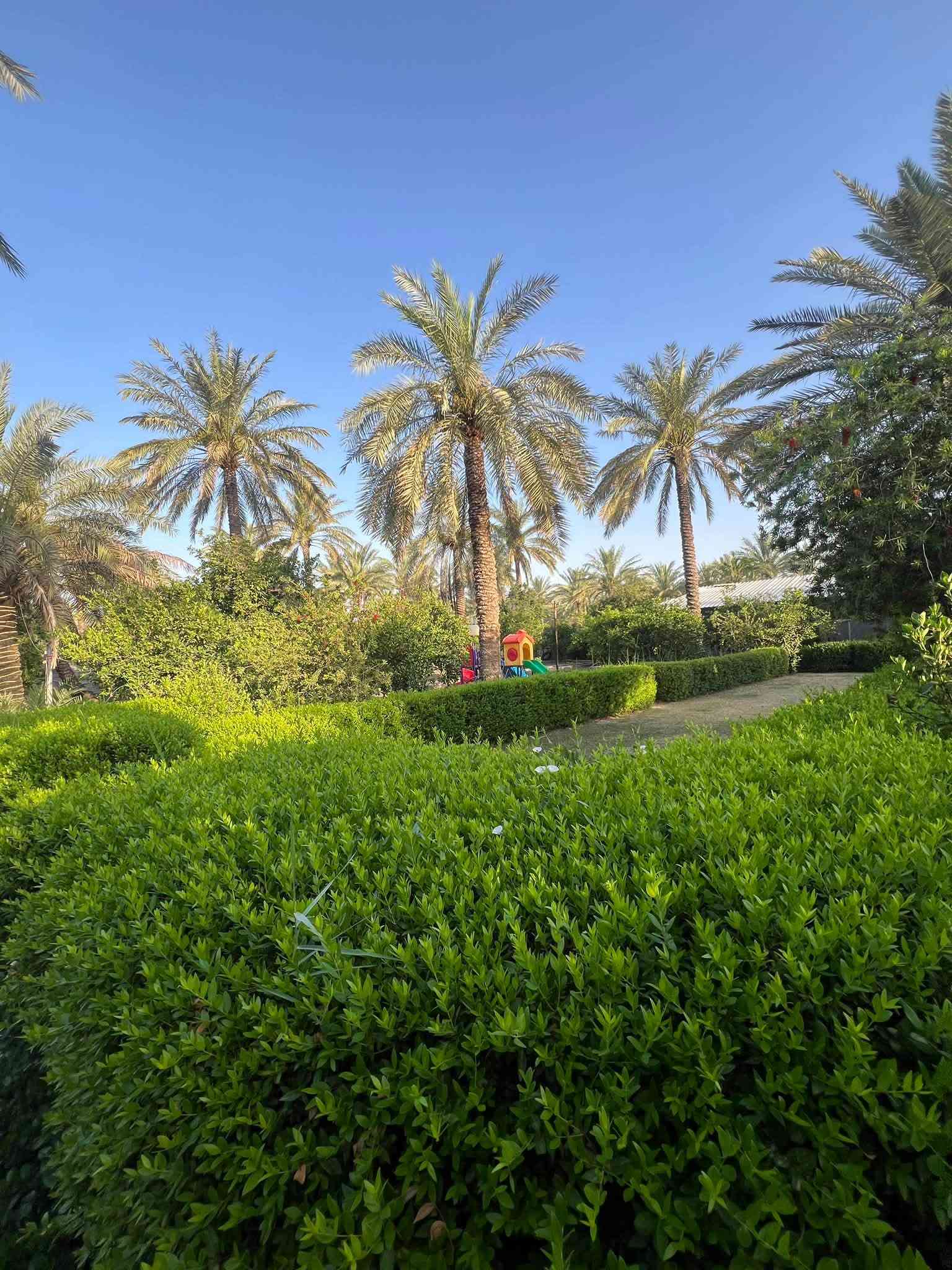 للايجار اليومي الراشديه ***********
