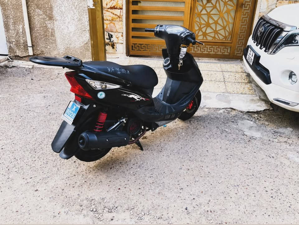 ثعلب • كفاله • زينون