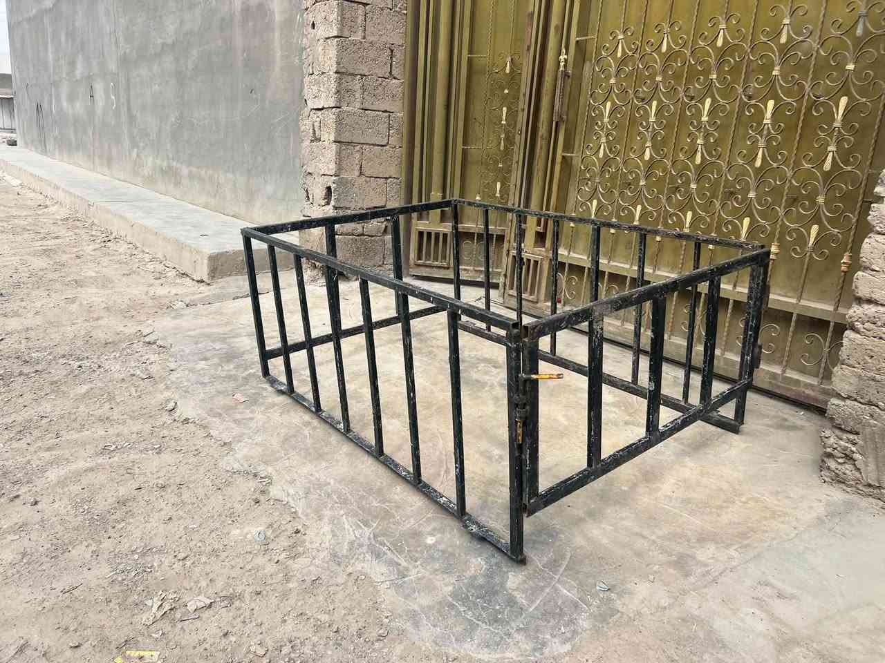 ستوته • محجل • ٧٠