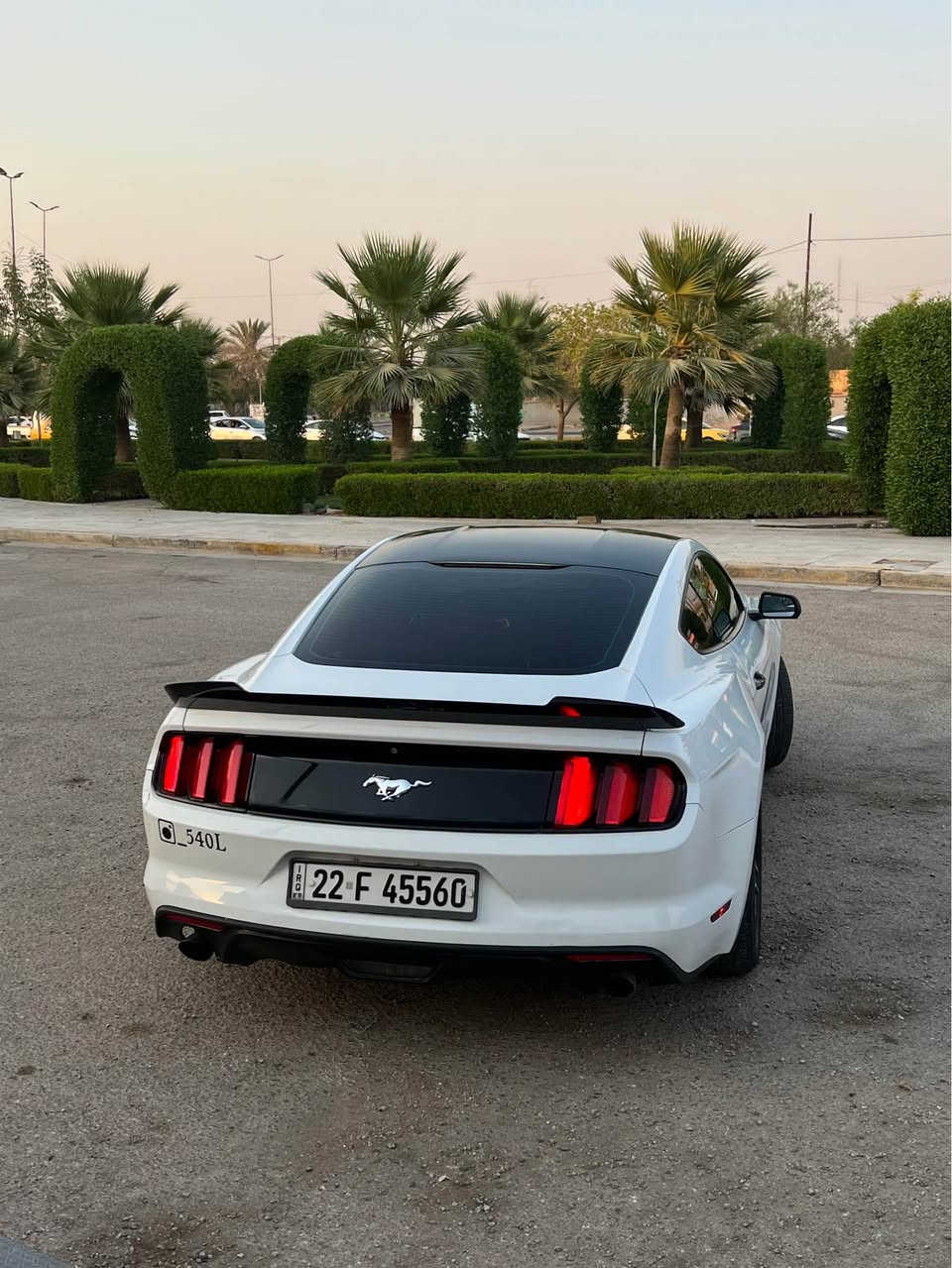 موستنك 2016 ايكو بوست بيها باب الي عكس السايق وربع الجاملغ الخلفي بدون دواخل سياره جديده ومابيها اي نقص تحويل ثاني يوم السعر ب 130 
للاستفسار اتصل على الرقم ***********
قيل اتواجد ع الفيس🛑 كربلاء, العراق
