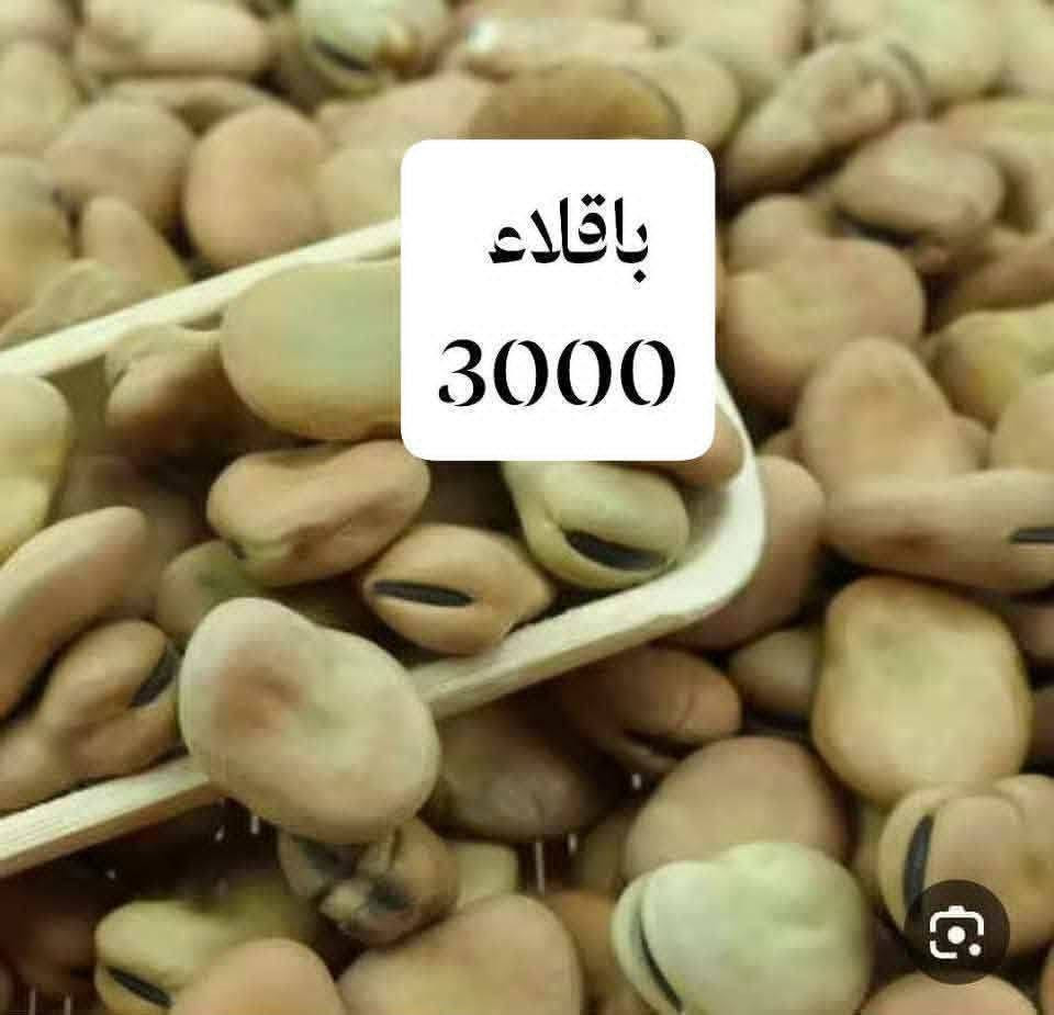 جوز امريكي • فاصوليا خشن • حليب