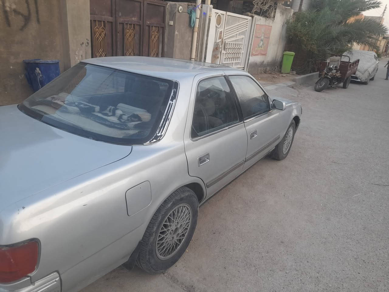 كرسته • داخل نضيف • رقم بصره