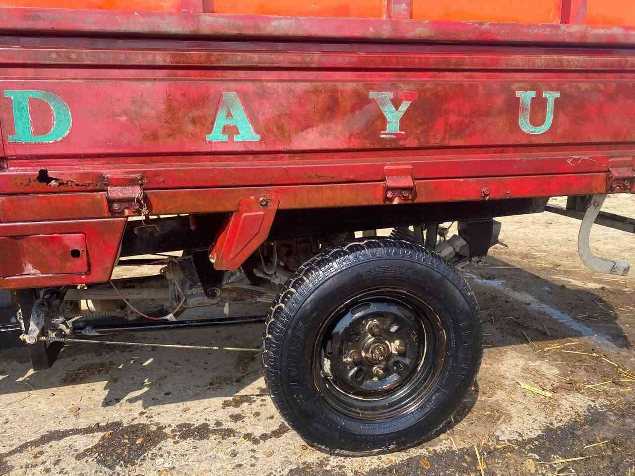 ستوته • دايون • ٢٠١٥