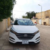 توسان • ٢٠١٦ • صبغ ومعجون