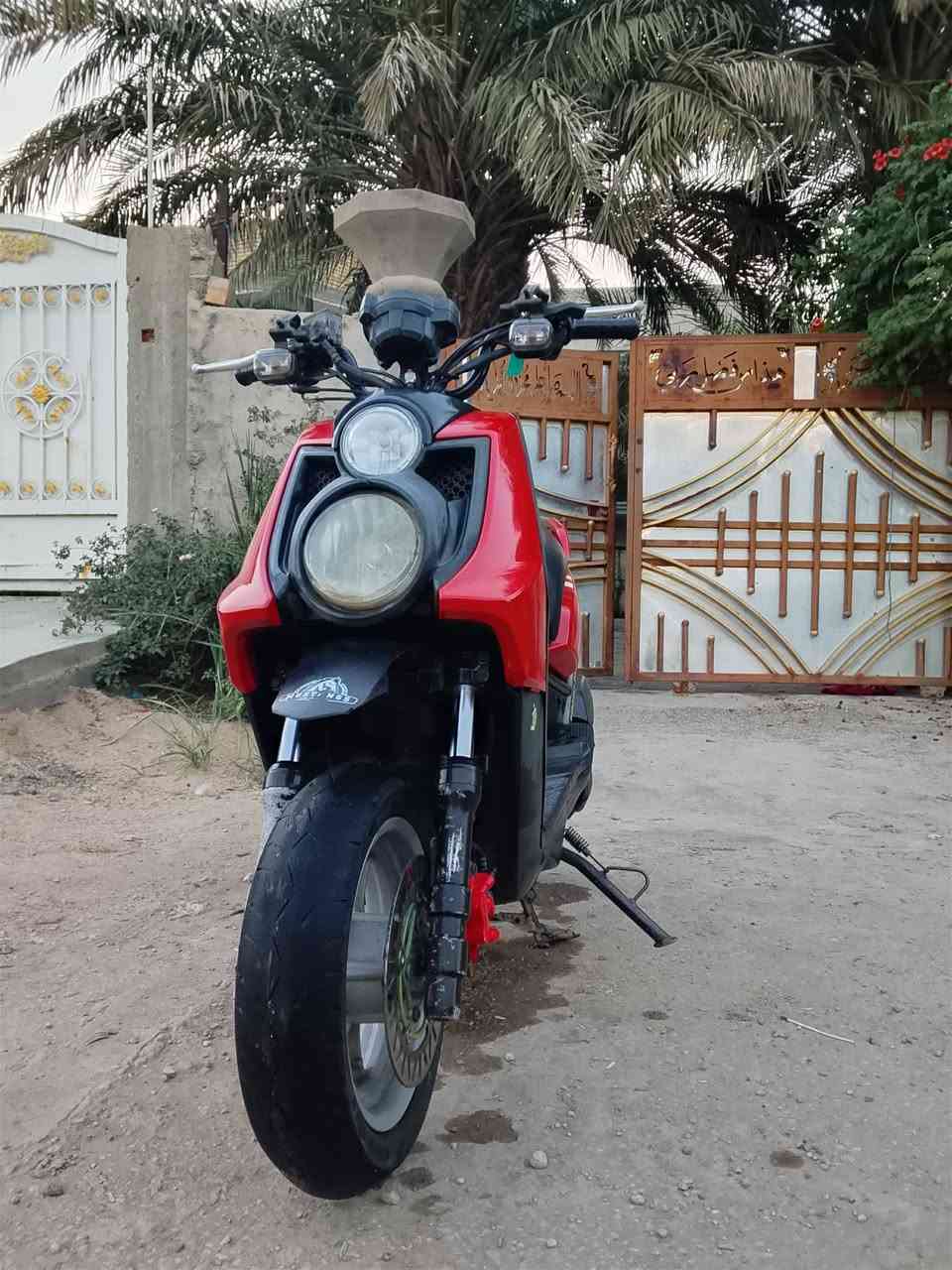 جبلي للبيع قبل تلاث اشهر طالعه وكيل 
المكان بابل محاويل 
السعر 800 
علق واني ادخلك او تتصل ع رقم
***********
