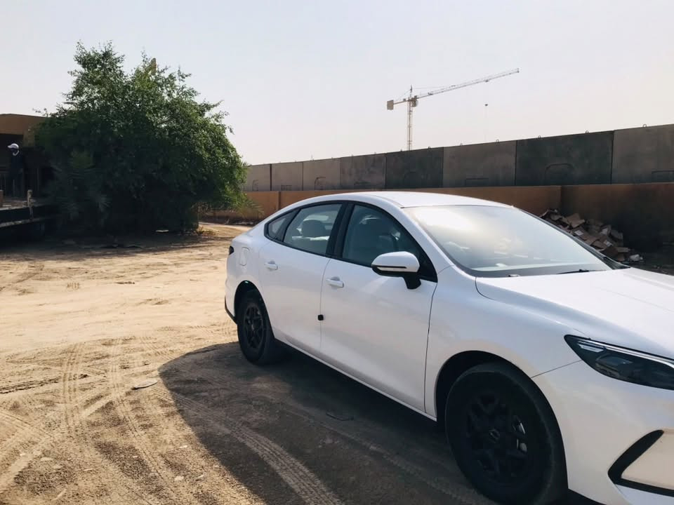 سيل ٥ • كفاله عامه • ٢٠٢٣
