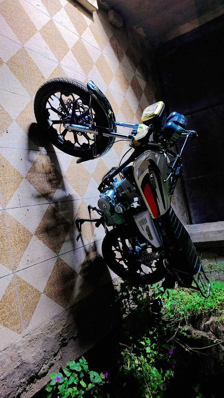سيفان • ٢٠٠ • ٢٠٢٤
