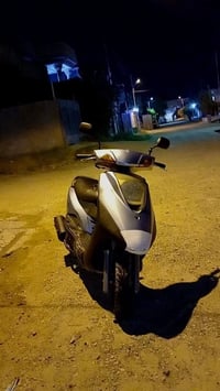 بريز • بدون أوراق • جاهز