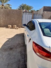 النترا • ٢٠١٧ • وارد امريكي