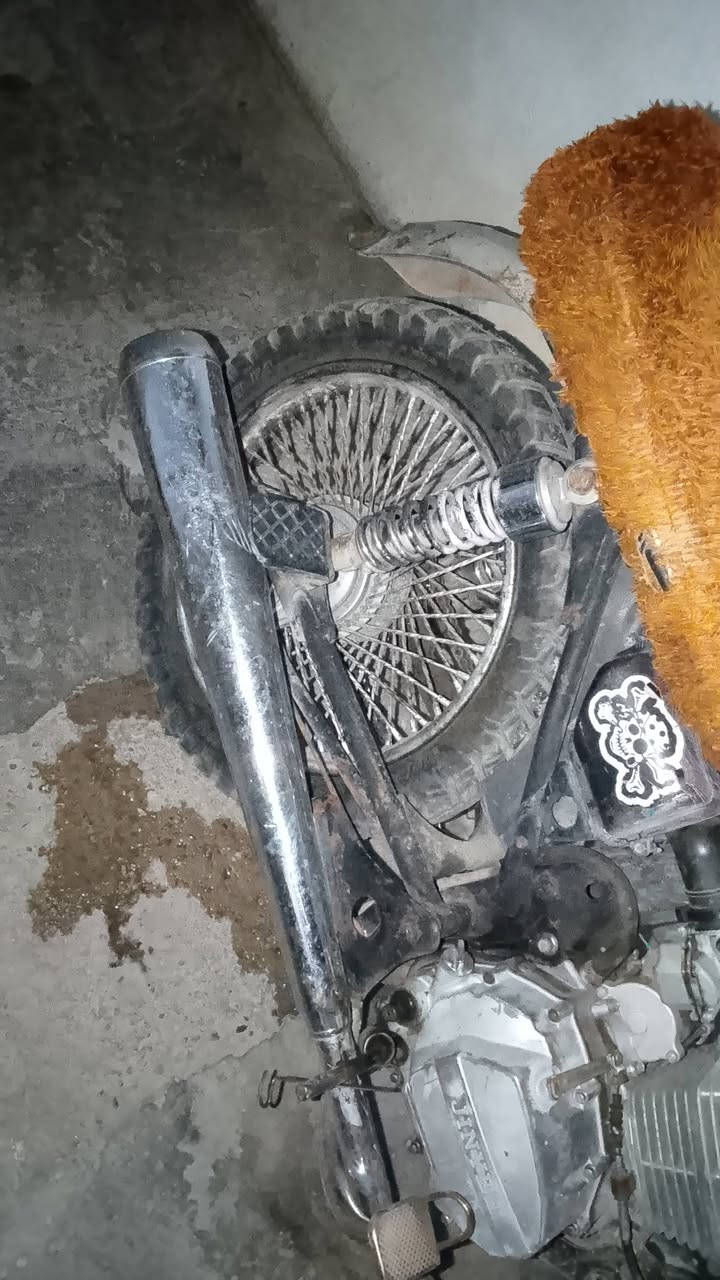115 بيها مجال ***********
