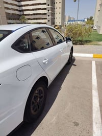 سيل5 • مشي ٦٠٠٠ • رقم بغداد
