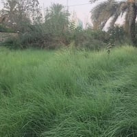العنوان السياحي • ٤٦٠م • سند ٢٥