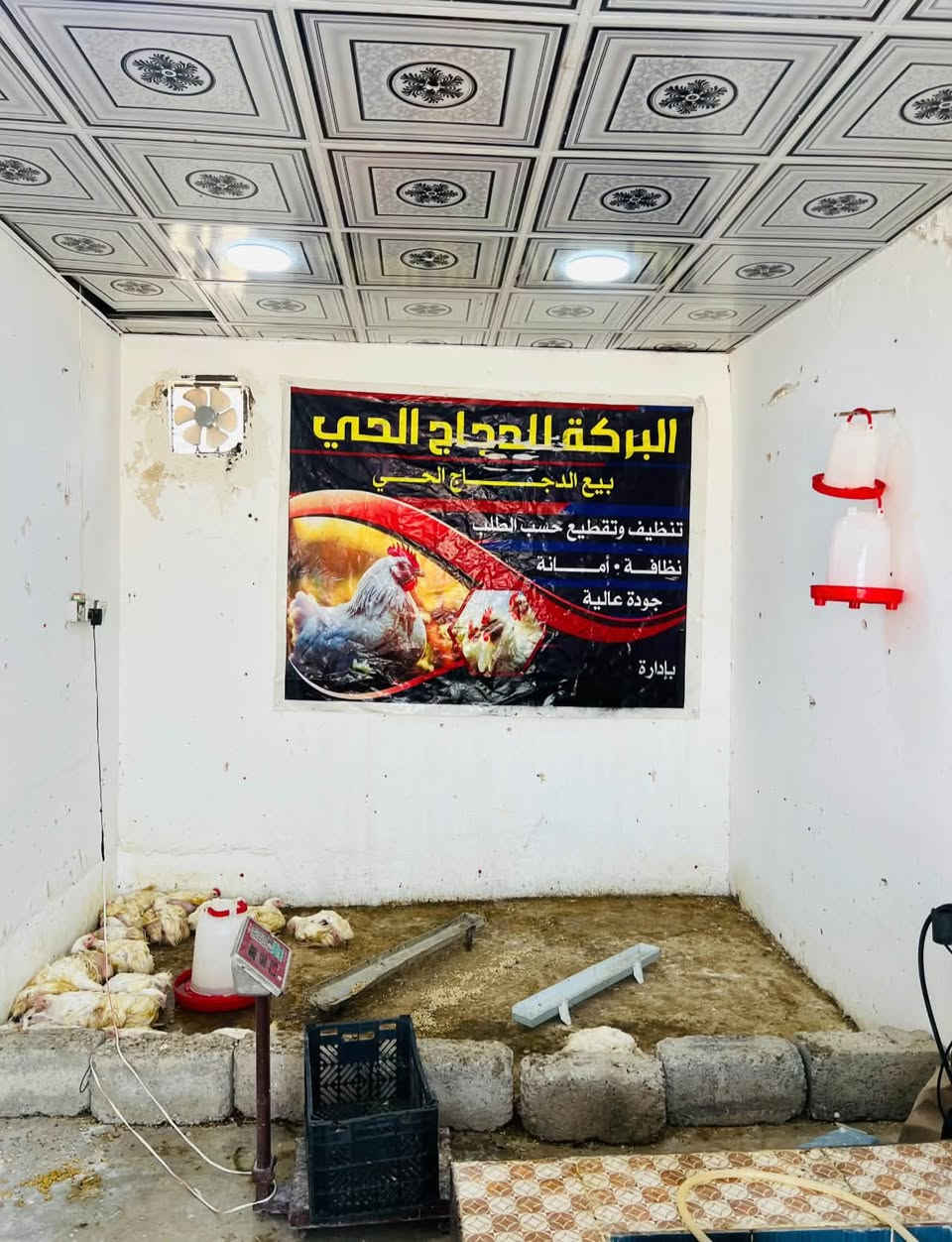 السلام عليكم مجزرة دجاج للبيع  سبب البيع عدم تفرغ الها بسبب دراسه ***********
