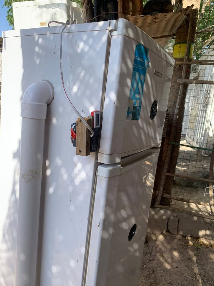 فقاسة للبيع /. ***********

فقاسة بسعة ٥٠٠ بيضة /بسعرر١٣٠ ألف 

نظام دكت خارجي .تقليب يدوي 
نسبة التفقيس 90%
 فقاسة إذا ما تفقس ترجع تجي للبيت تاخذها وتخلي بيض إذا ما فقست أرجعها وأخسر فلوسها 
أنطيك بيها ضمان كاااملة مكملة بس تحط البيض 
سبب البيع أريد اجيب وحدة اكبر   مكاني شهربان جسر مهروت
