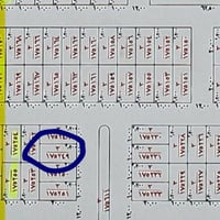 النقابات المهن الصحية • البسمة • ٢٠٠م