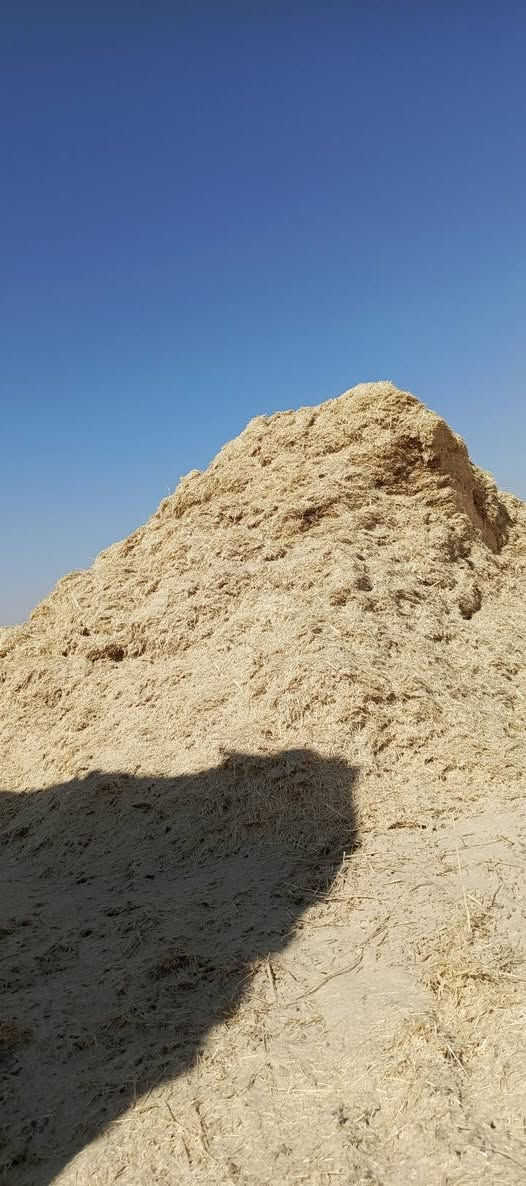 يوجد تبن للبيع كميه تبن نضيف درجه أوله سعر 50  يشتري كميه نوجبو بل سعر اتصل وتدلل موصل ناحيه بادوش قرية زنازل ***********او ***********

