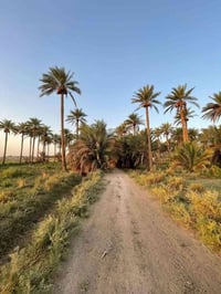 ٤٧ دونم • واجهة نهر ١٧٠م • زخيخه هيت