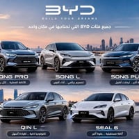 بي واي دي • سونغ برو • سيل ٦
