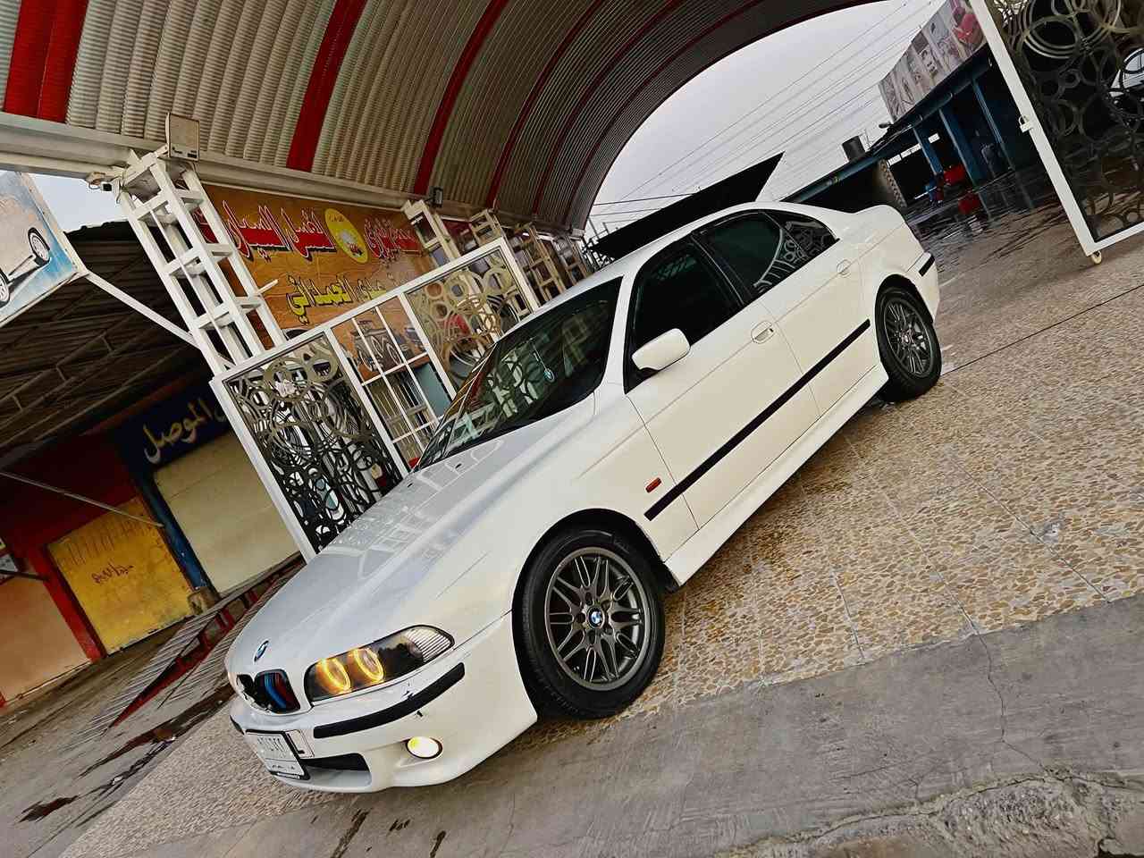 ويلكب M5 • حجم ١٧ • موصل