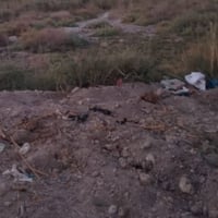 سوق الشيوخ • ٢دونم • سكن/مزرعة