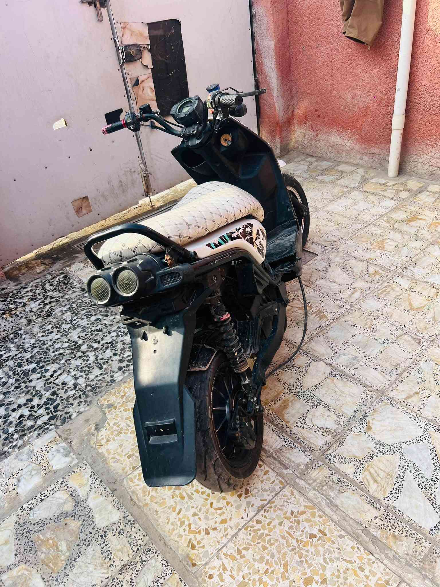 سكنس فحل • جبلي • بطاريات جديده