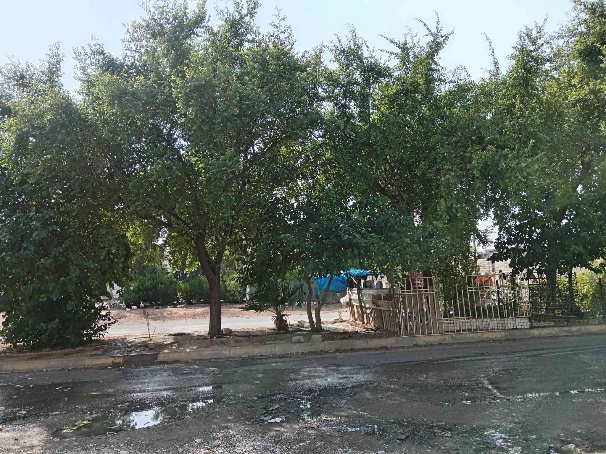 كركوك • طابو • ٣٠٠م ركن