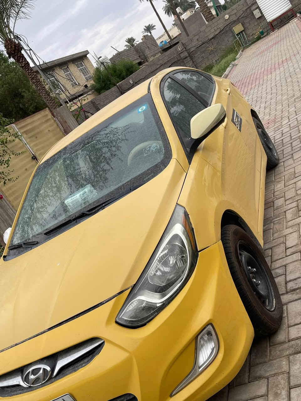 اكسنت • ٢٠١٣ • عاطلة