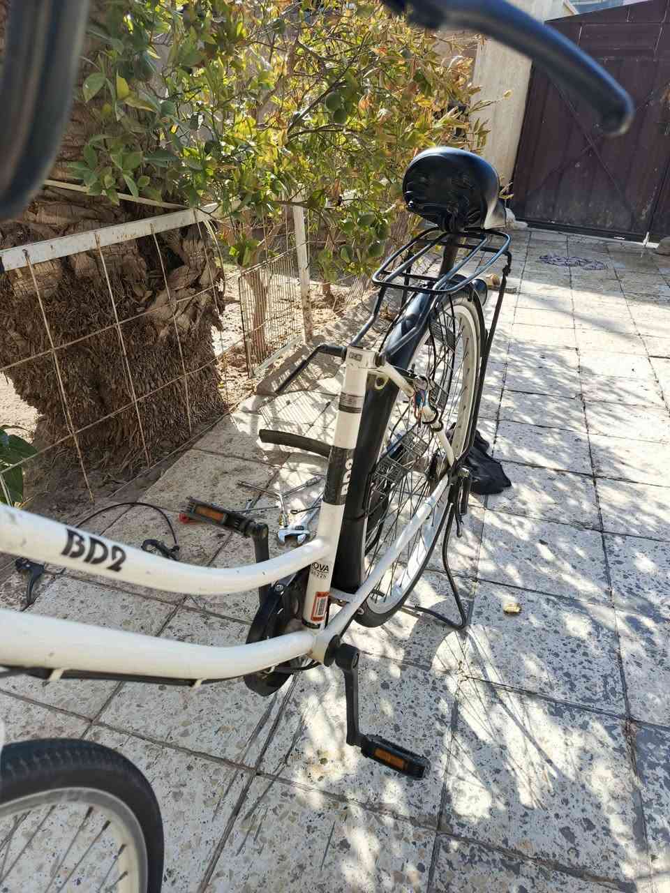 باسكل بناتي • ٢٠١٤ • كفاله عامه