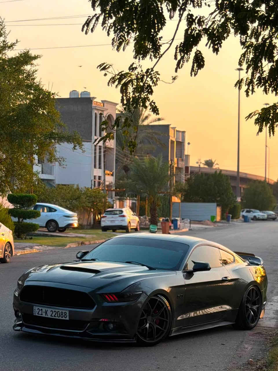 🔥 للبيع أو المراوس 🔥
فورد موستنك GT موديل 2017

• كير عادي (Manual)
• الممشى: 49 ألف ميل
• 4 قطع صبغ بدون أي إيرباك 
• كاملة على آخر حبة
• شاشة SYNC 3
• دركه كاربون
• كزوز روش مع Active Exhaust

📍 الموقع: بغداد
***********
