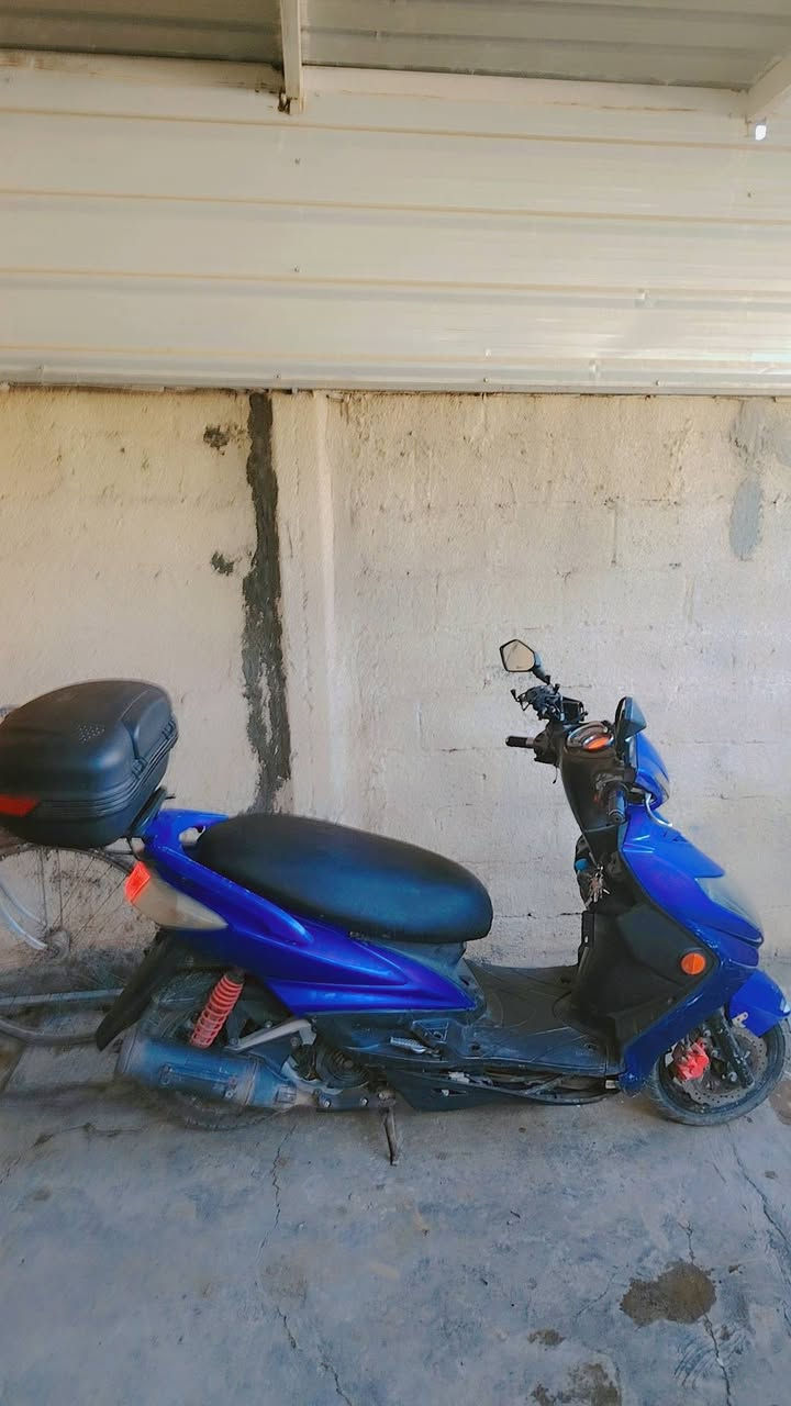 للبيع دراجه سكنز فحل نوزل بغداد الغزالية *********** وتس اب
