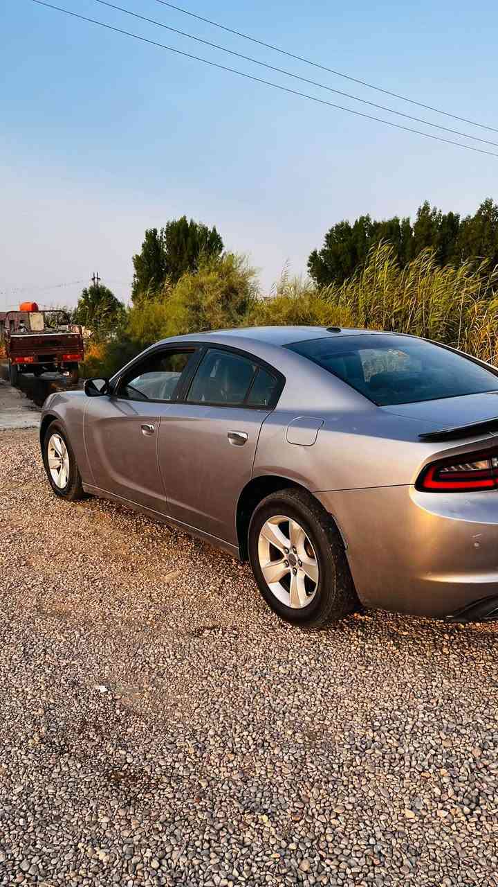 سلام عليكم سيارة جارجر للبيع موديل 2016 مواصفات معروفه sxt بيها شفات بقيه معروفه داخل كلين بيها ضربه خفيفه جاملغ امامي شويه تعديل بيها وهلال خلفي تاير طاك 
سنويه ٢٠٢٨ سعر ١٧٥وبيه مجال استفسار اتصل ***********

نص مكتوب في الصور:
- @oi21x