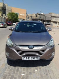 توسان 2013 • وارد امريكي • لوحة بغداد