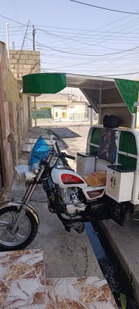 ستوته • فول • موديل 19