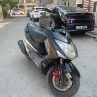 سكنس • شمعه حديث • كفاله عامه