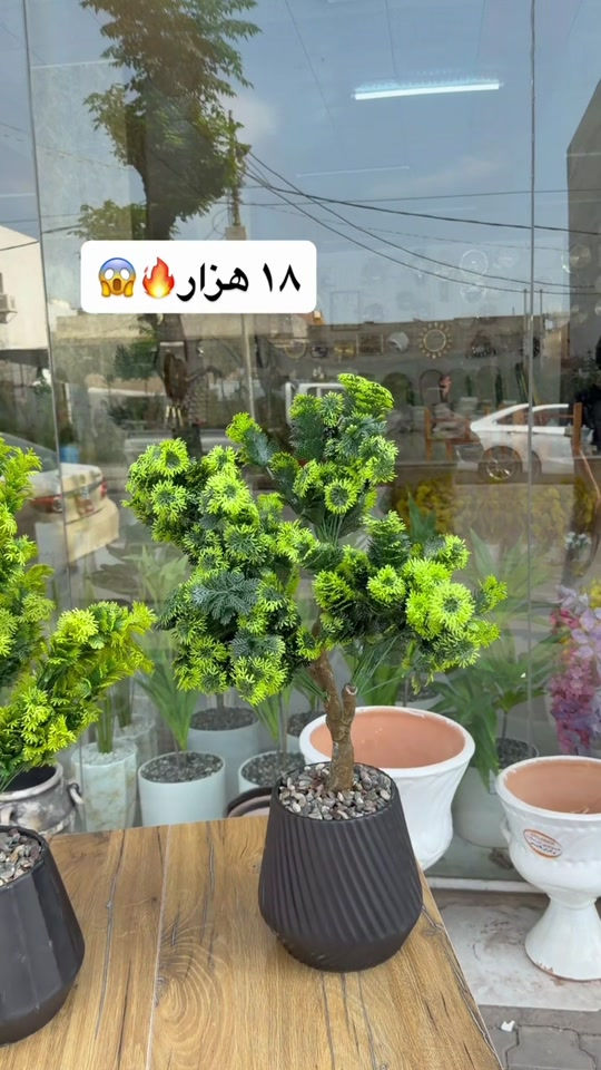 نص بالصور • ديكور • حديقة