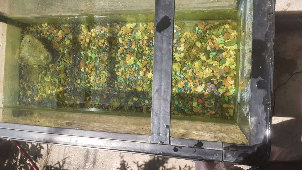 حوض سمك معة نشرة وياه وجهاز تدفئة 🐠🐠 للبيع السعر 30 مكاني كيارة داخل للستفسار هذا الرقم *********** فقط واتساب أو خاص
