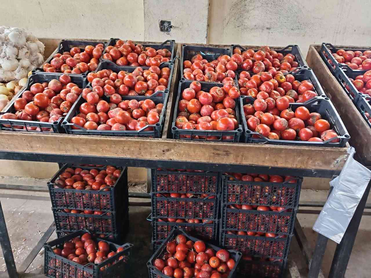 علوة القرية • طماطه ايرانيه • ضمان ٣ أيام