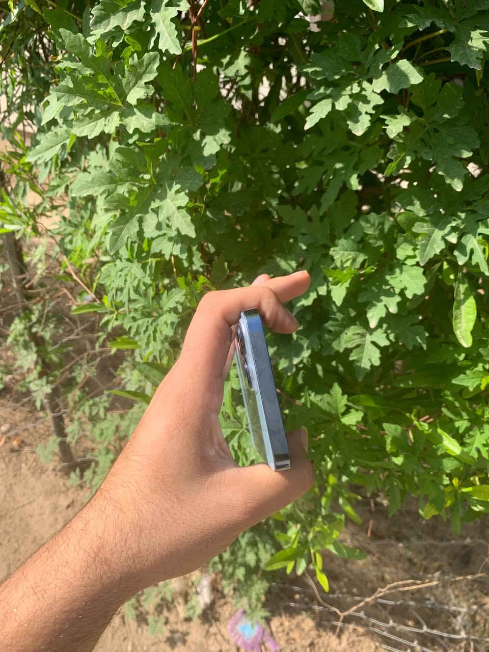 آيفون ١٣ برو ماكس • ٢٥٦ • بحري