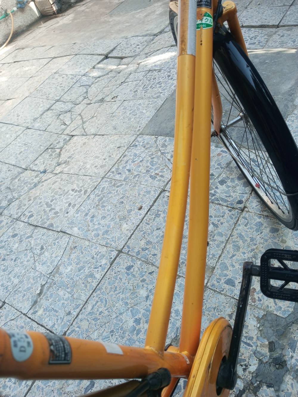 بيسكل بناتي • حجم ٢٦ • موديل ١٩