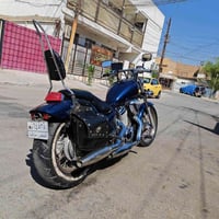 ستد • ٤٠٠ • بدون أوراق