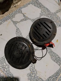 هورن بوش • جديد • المسيب السده الهنديه