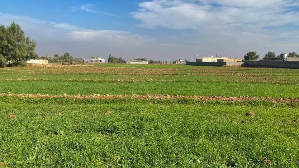 بسم الله
✅ارض زراعيه للبيع المساحه 6دوانم  سعر الدونم 37مليون 

طابو زراعي سند 25  ثاني يوم افتحلك بيان ✅

واجهة الدونم الواحد 50 متر النزال 50 متر 

خدمات كامله  ماء اساله وسقي وكهرباء

 ✅ منطقة شيخ عامر✅

للاتصال والاستفسار يتوفر واتساب 

♂️✅***********♂️
