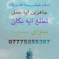 ستوته • حمل • ٢٤ ساعة