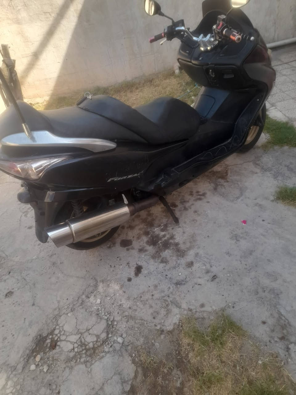 فورزه للبيع او مراوس بفورزه غير لون، عنوان سيديه ***********
