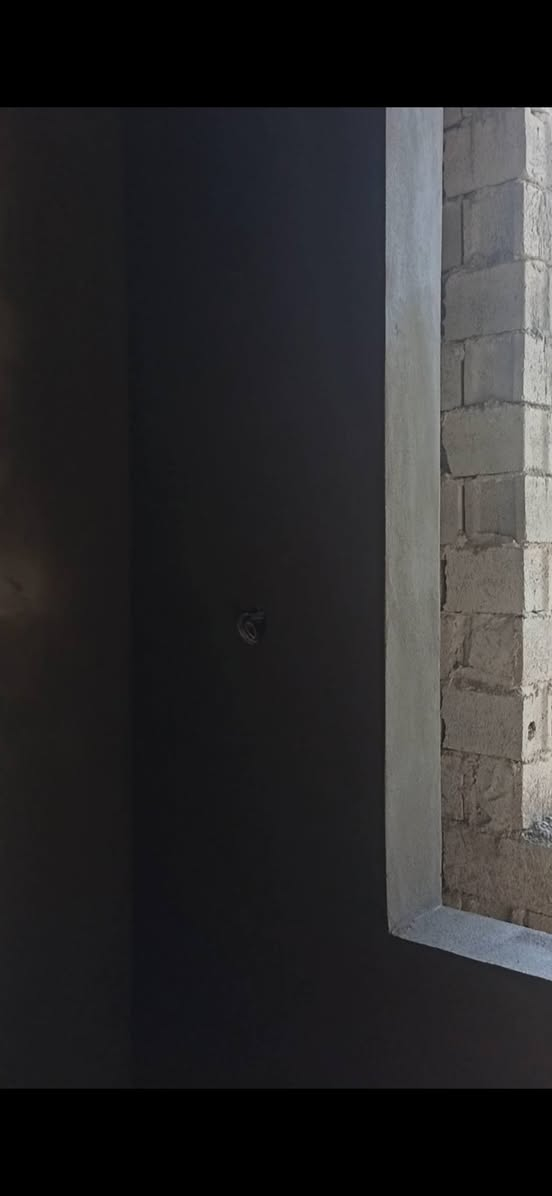 لباخ • متفرغ